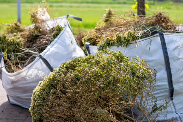 Best Commercial Cleanout Services  in Fris, CO