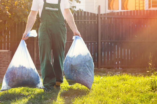 Yard Cleanup Services in Frisco, CO